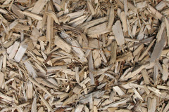 biomass boilers Cotonwood